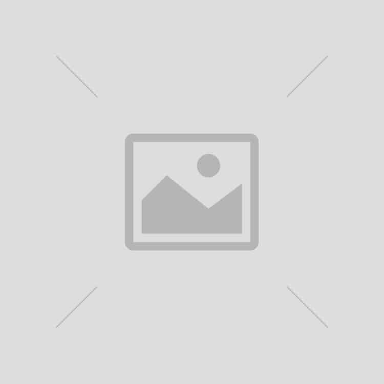 report placeholder